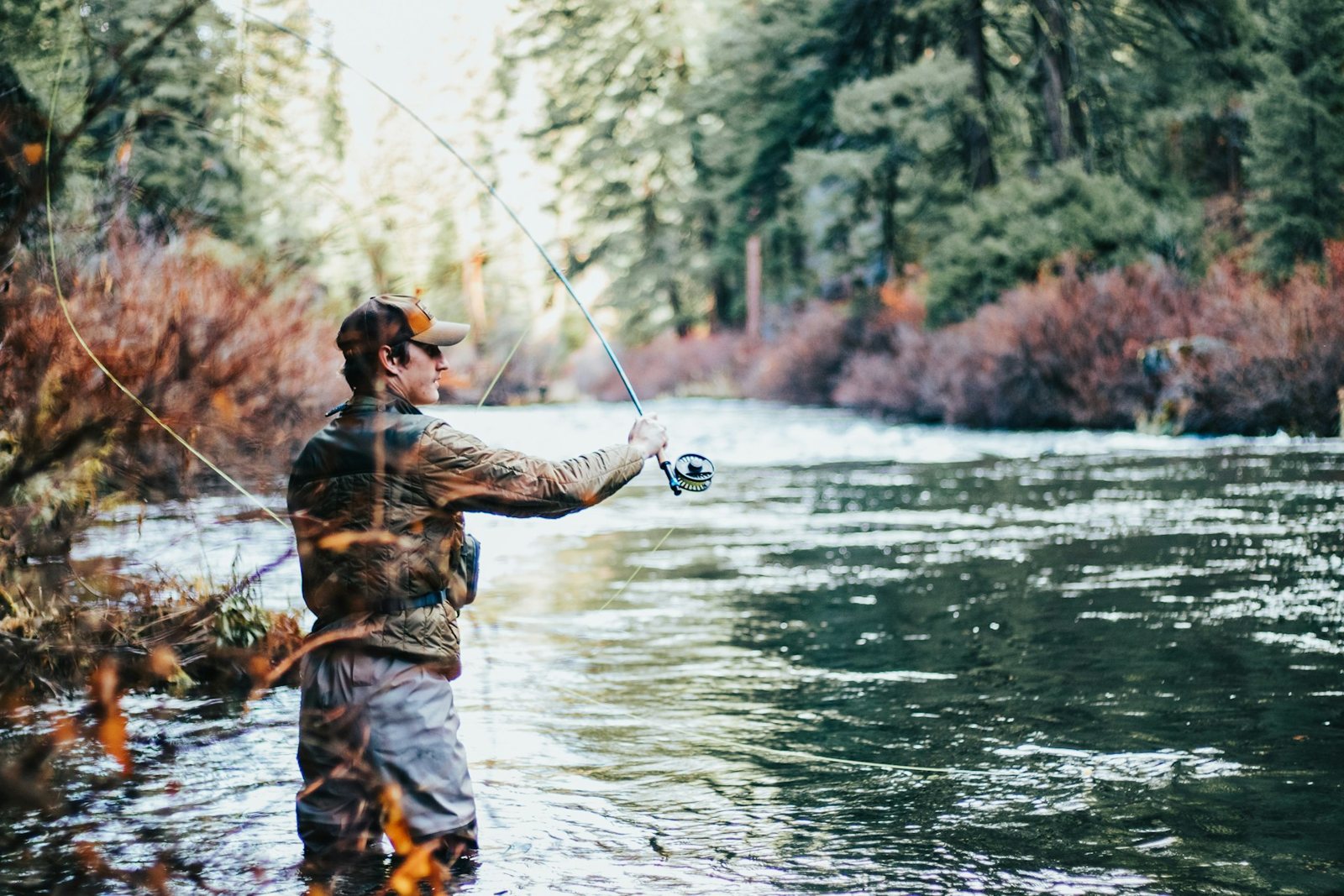 Angler casting a fly rod on a forest river