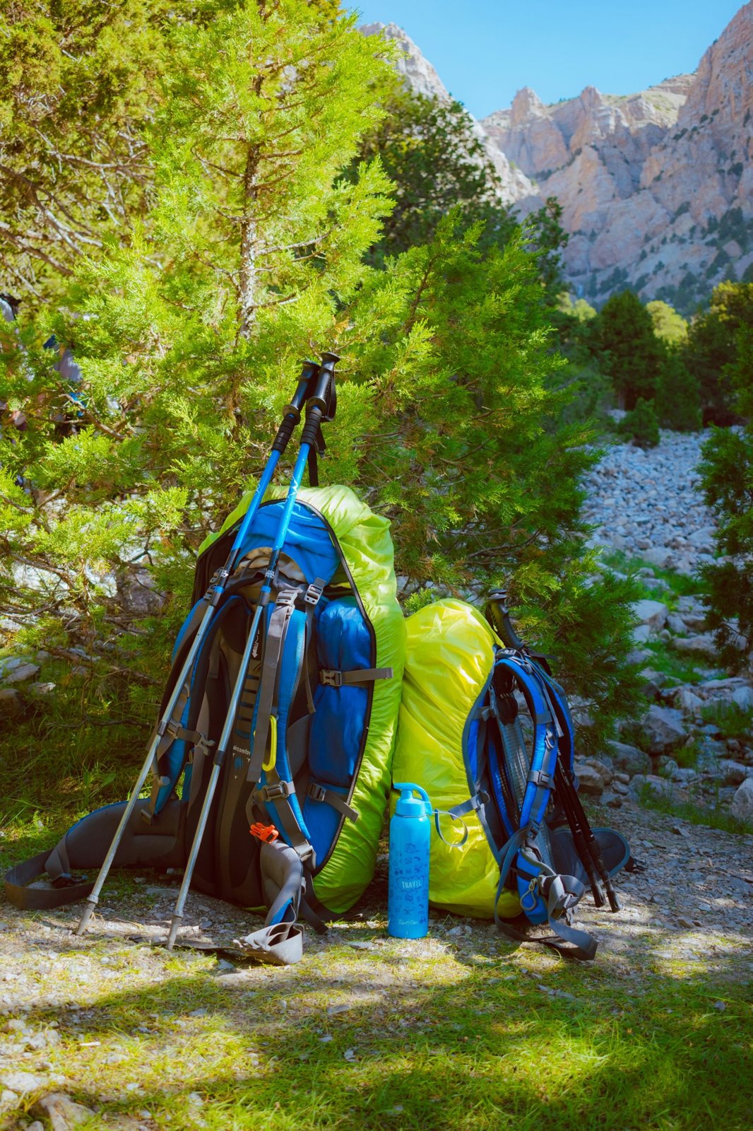 Dos mochilas con bastones de trekking y una botella de agua junto a un arbusto