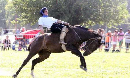 Jinete sobre un caballo en una jineteada