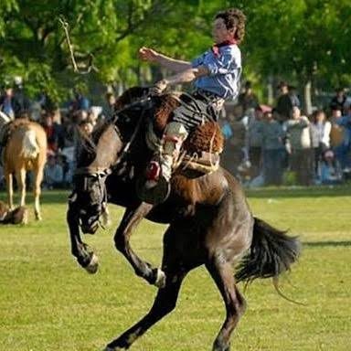 Jinete a caballo en una fiesta criolla