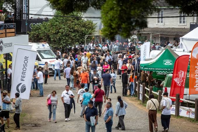 Público recorriendo los stands de la feria